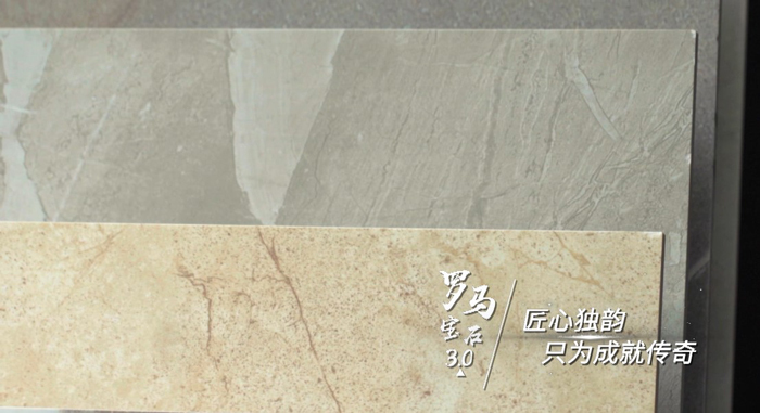 20190305114840429